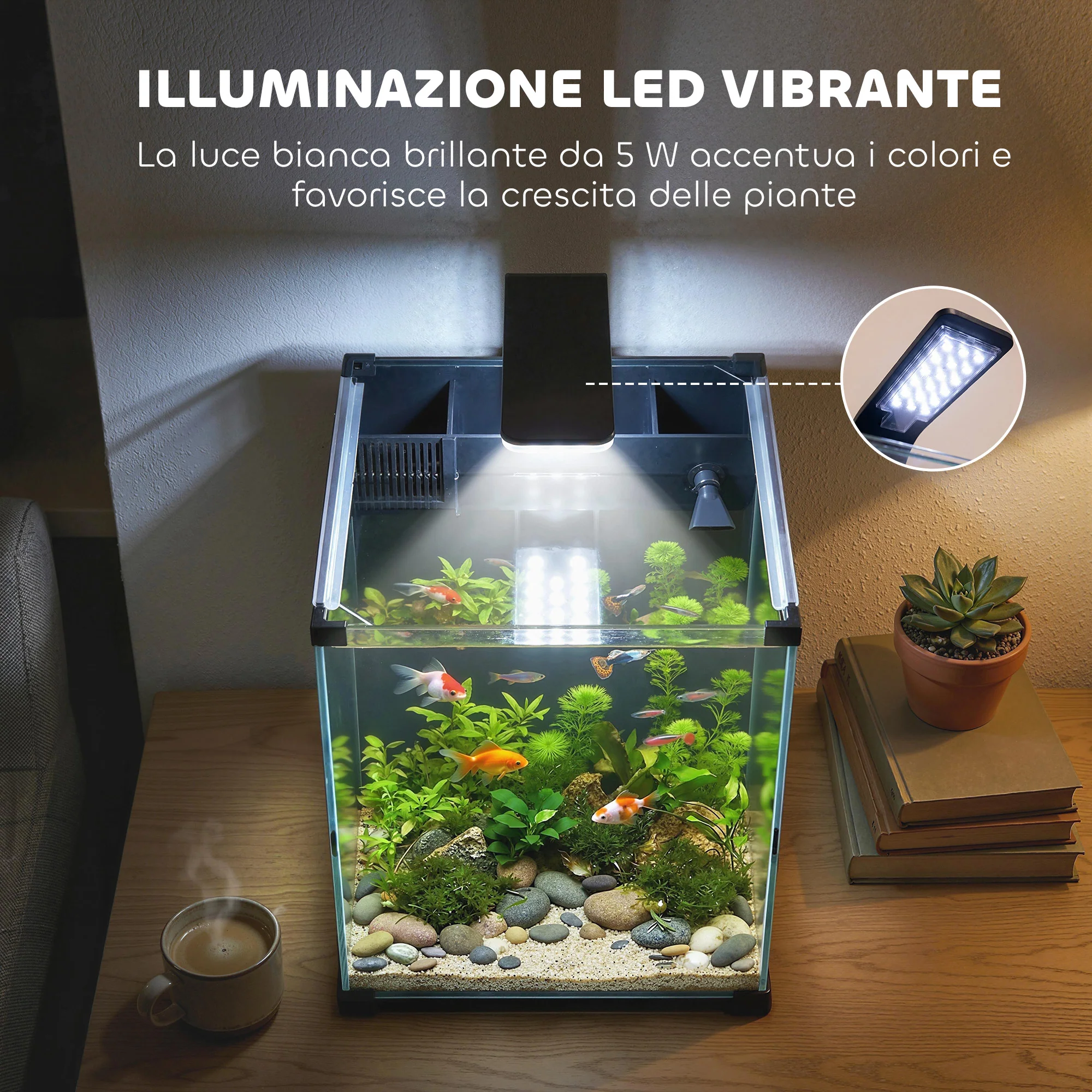 Miniatura 7