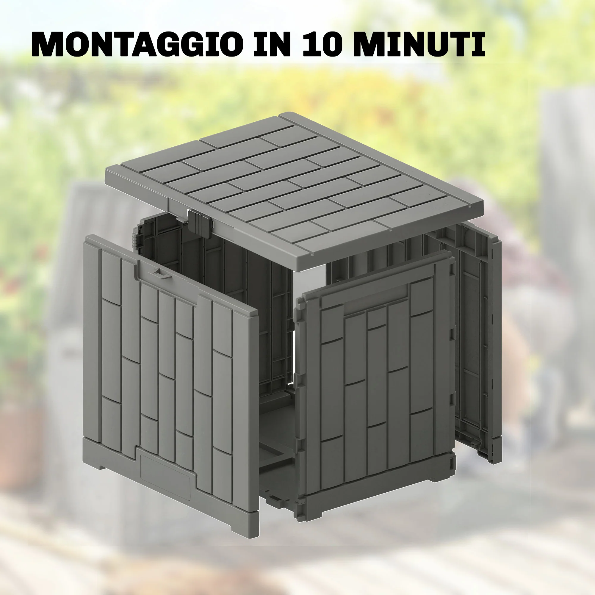 Miniatura 7