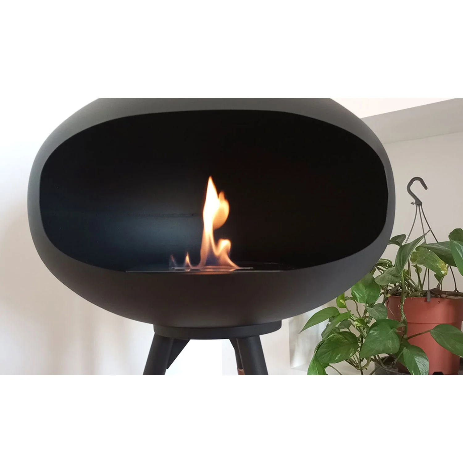 Miniatura 8
