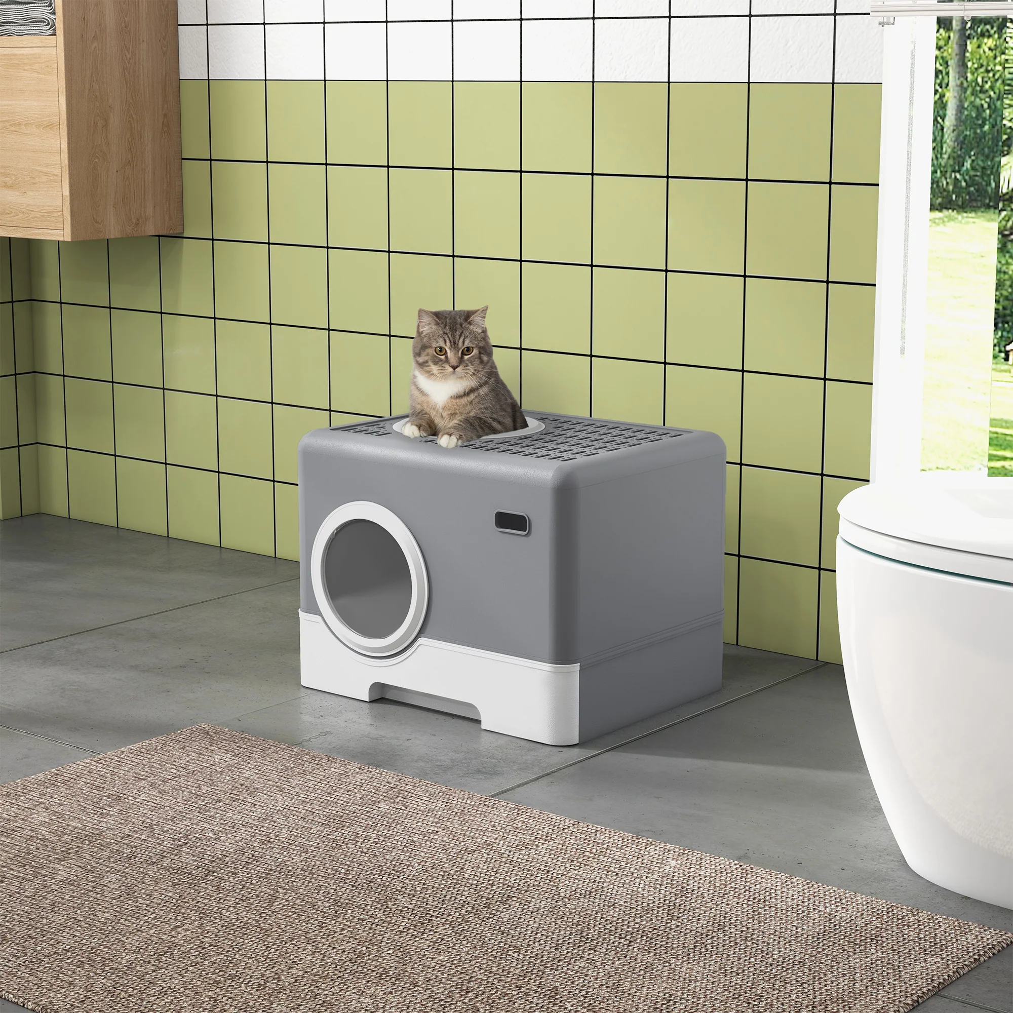 Miniatura 2