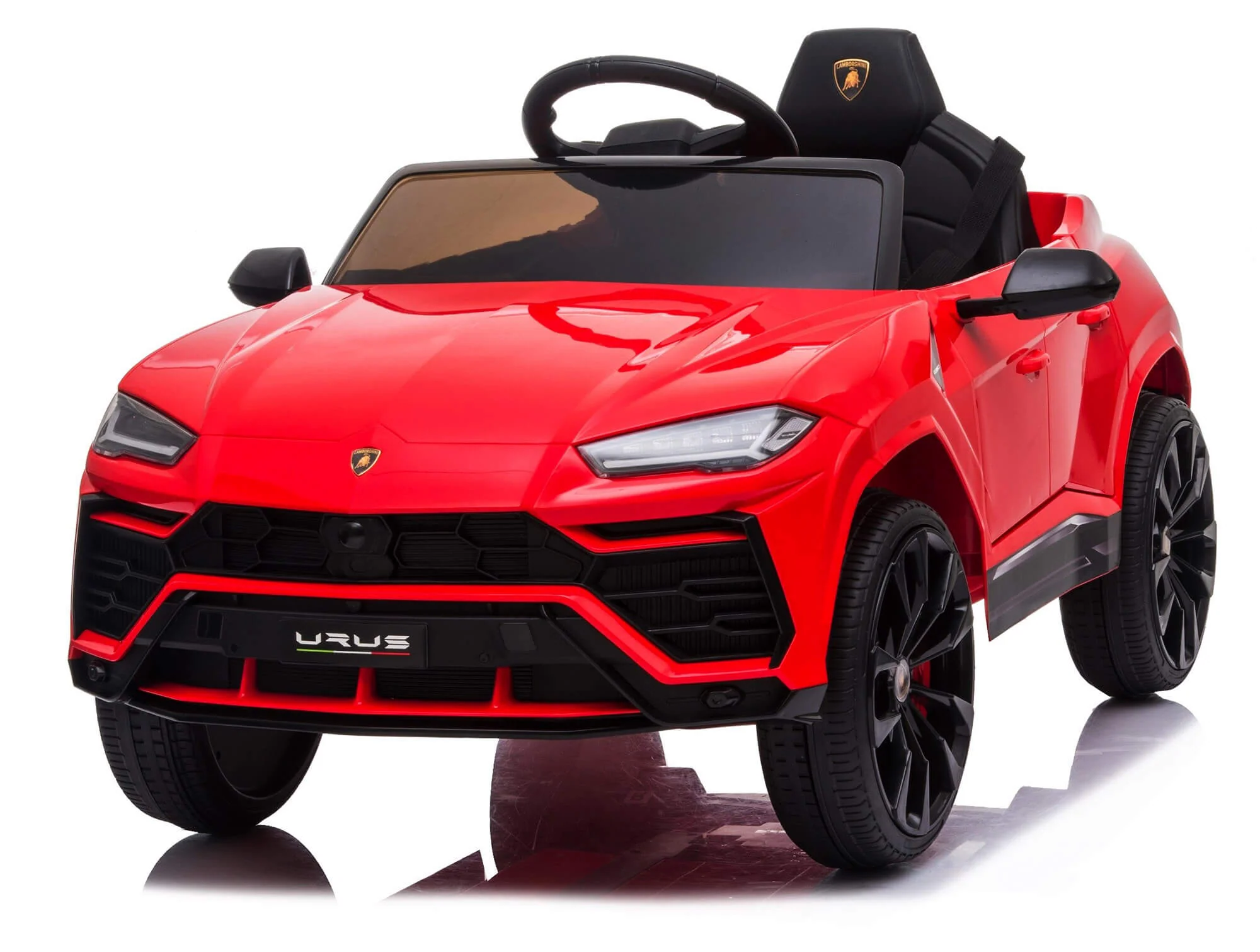 Miniatura 10