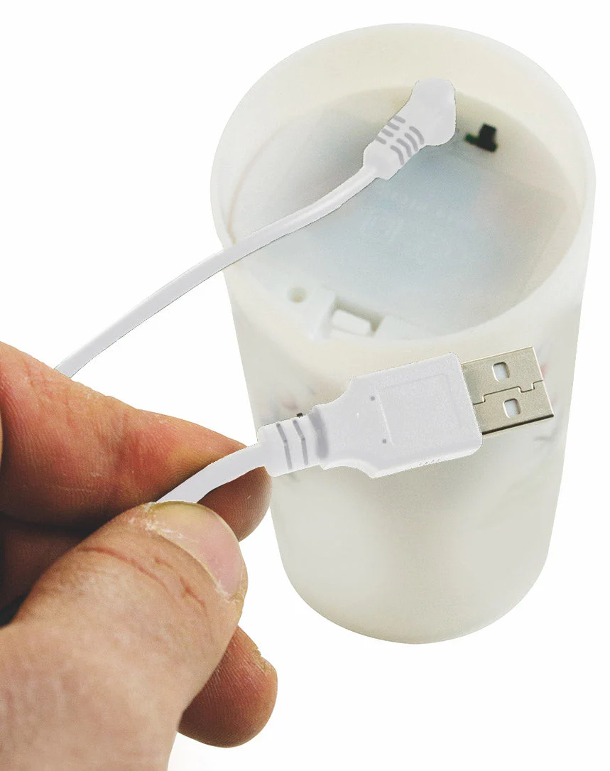 Miniatura 7