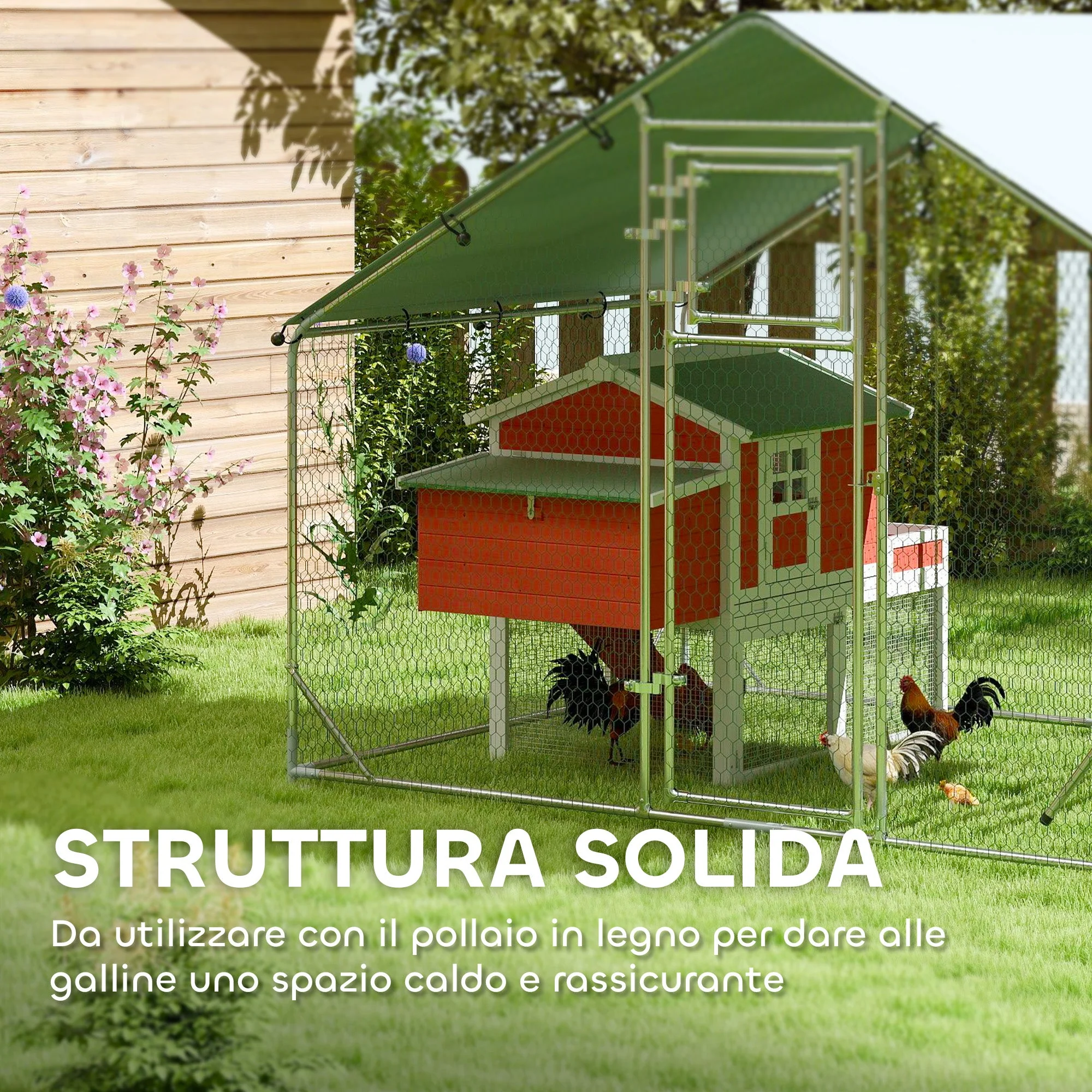 Miniatura 8