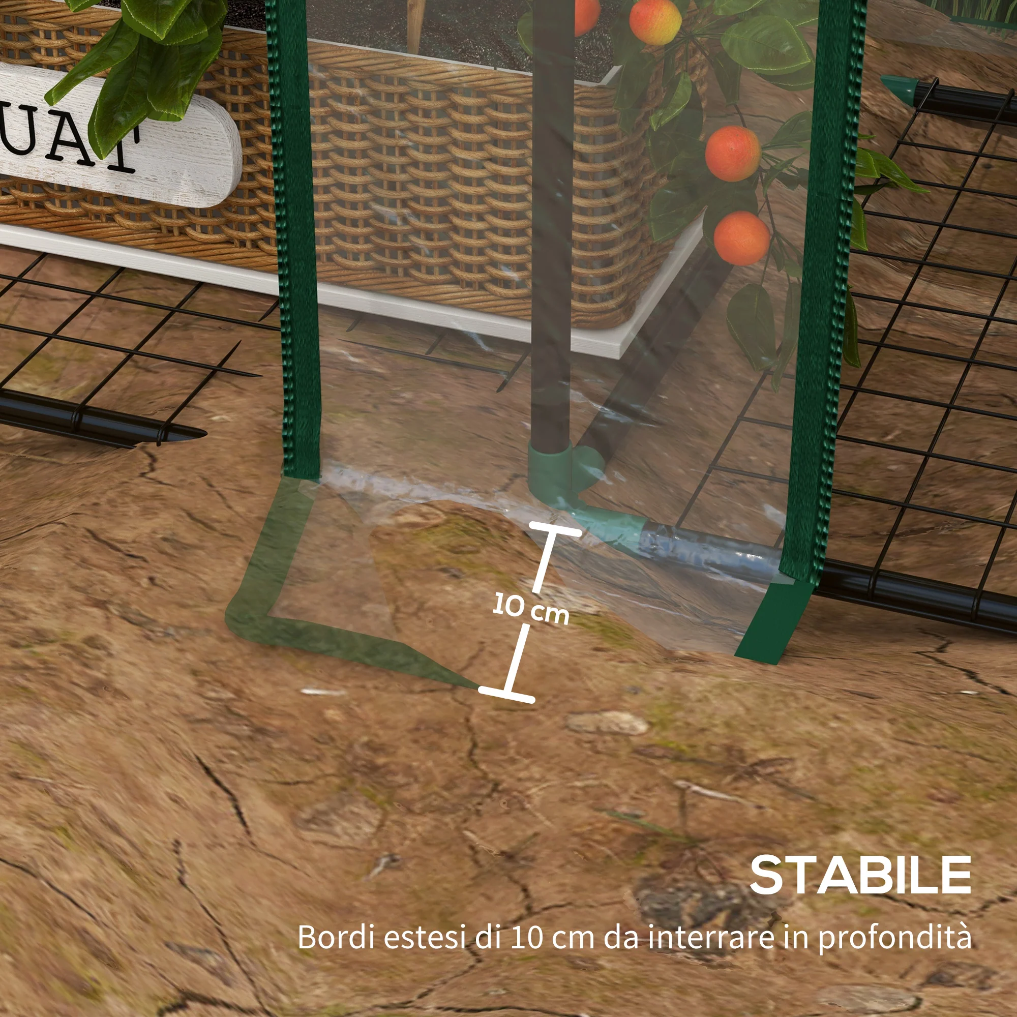 Miniatura 7