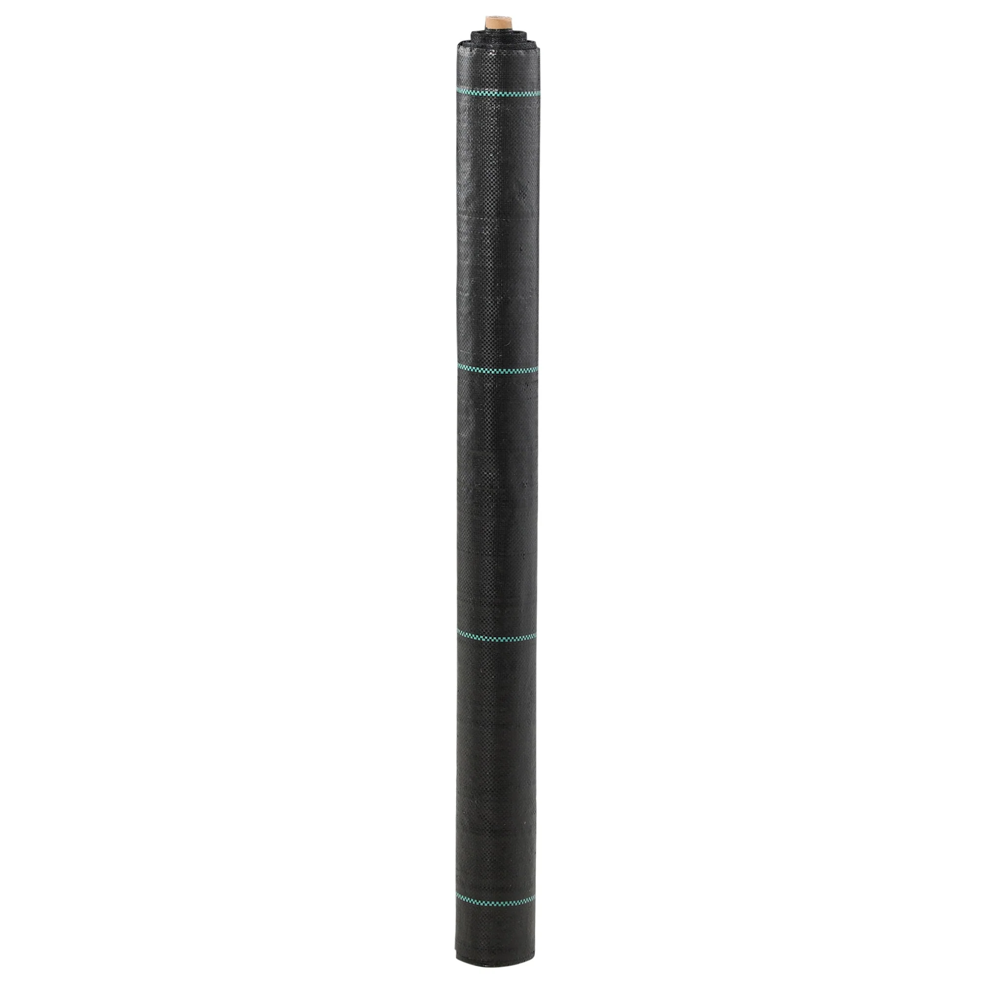 Miniatura 9